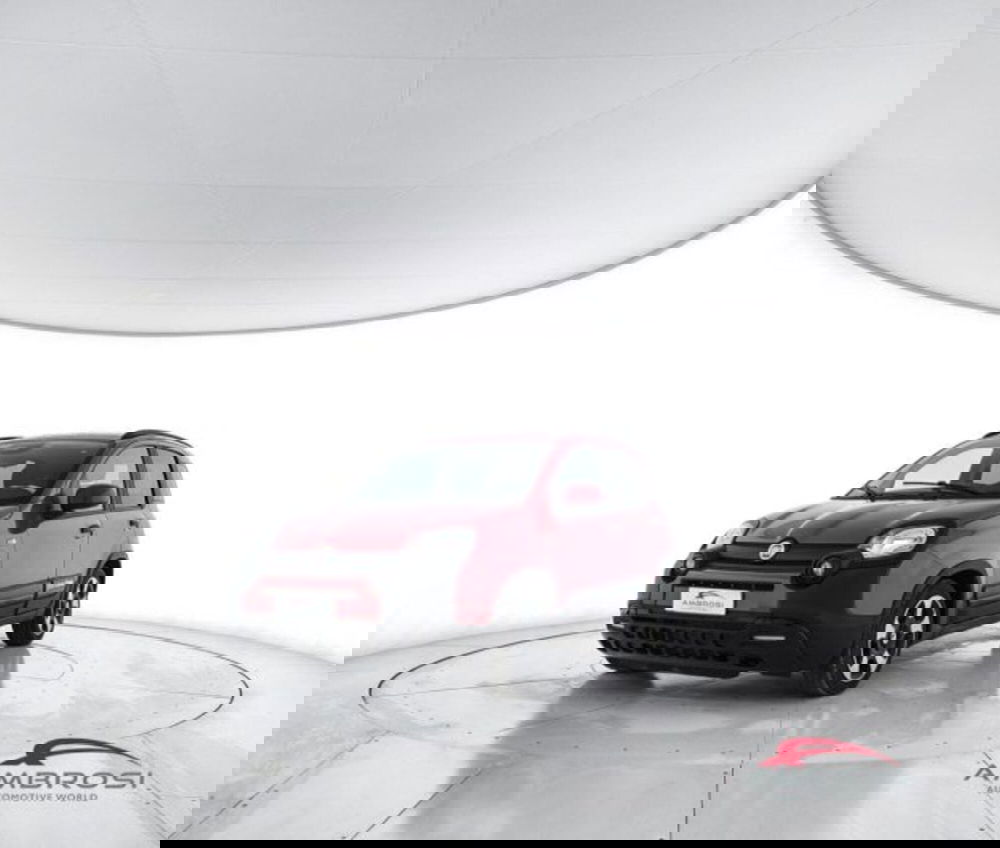 Fiat Panda Cross usata a Perugia