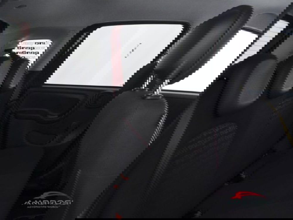 Fiat Panda Cross usata a Perugia (11)