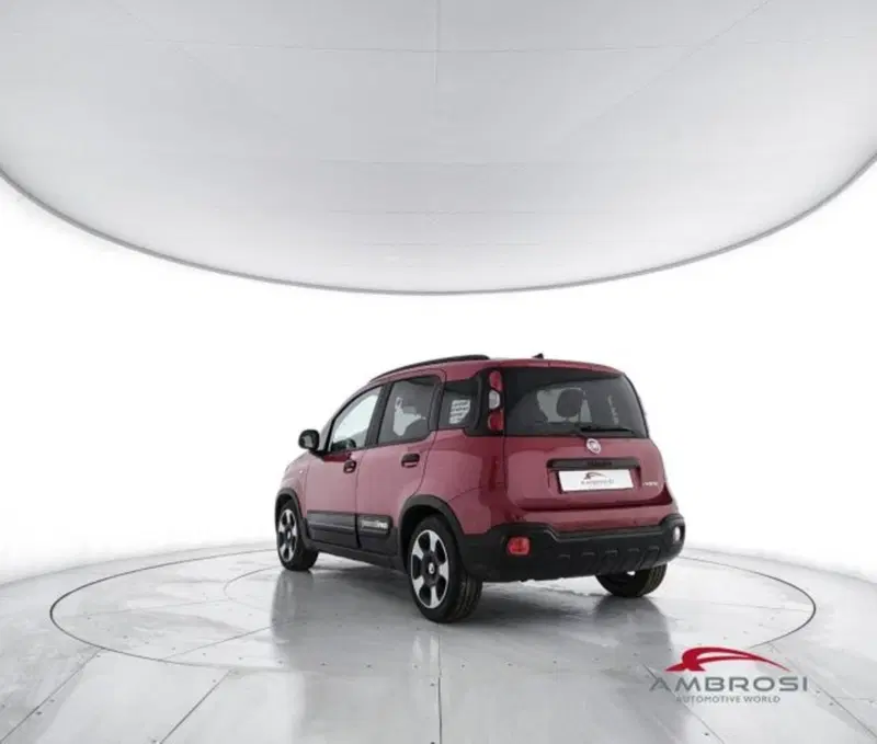 Fiat Panda Cross usata a Perugia (2)