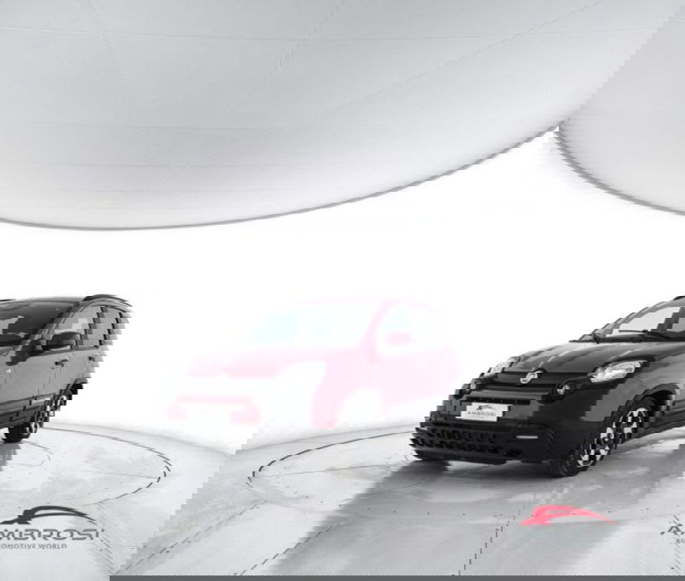 Fiat Panda Cross usata a Perugia