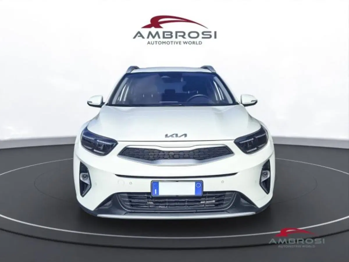 Kia Stonic usata a Perugia (7)
