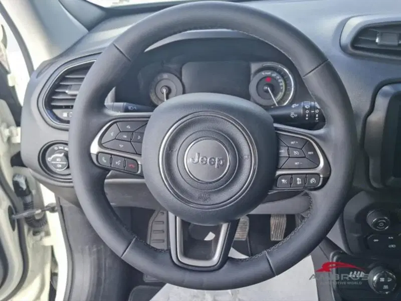Jeep Renegade usata a Perugia (14)