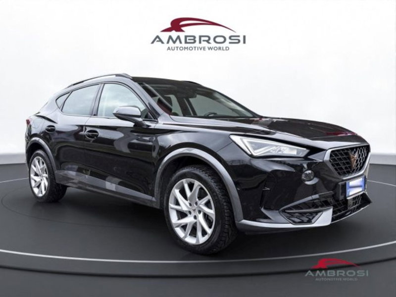 Cupra Formentor usata a Perugia (2)