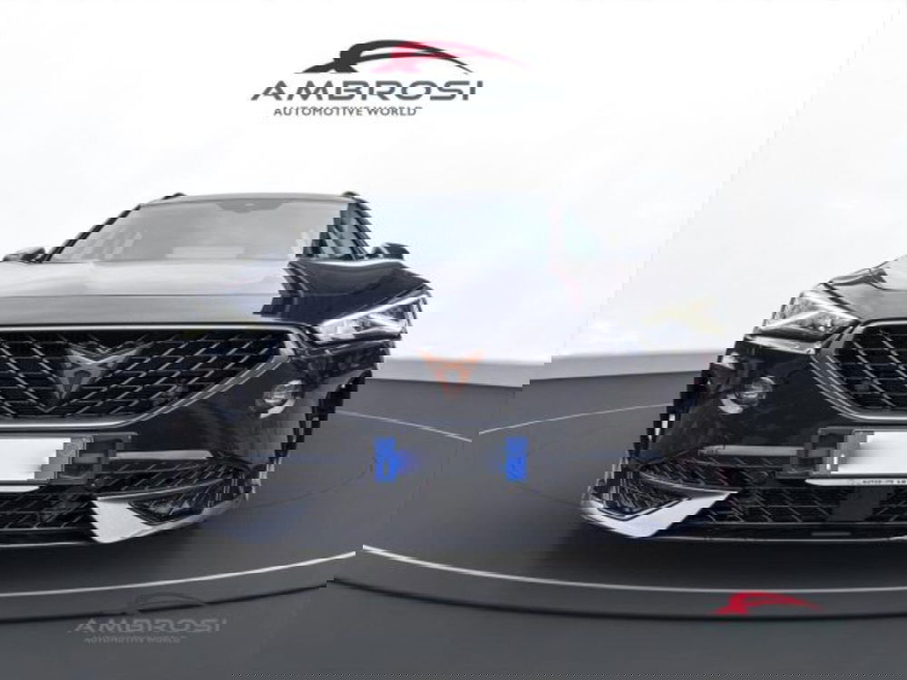 Cupra Formentor usata a Perugia (7)