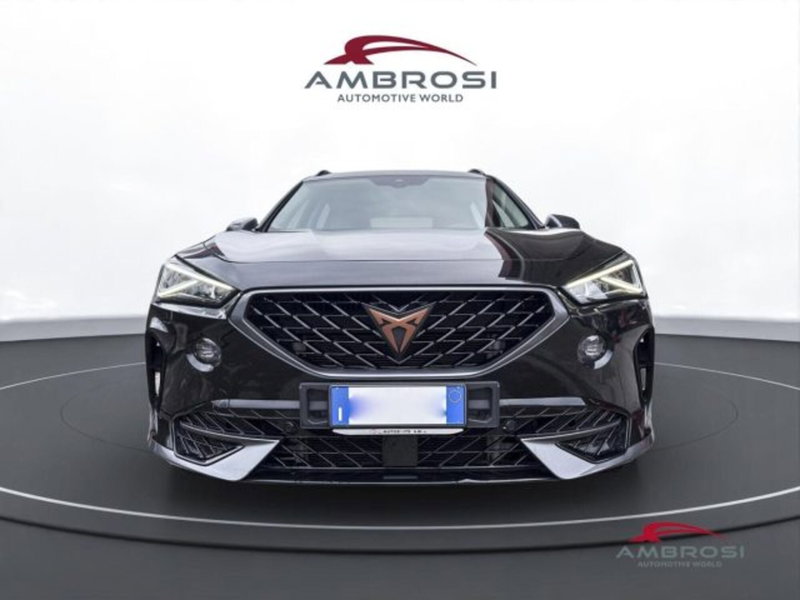 Cupra Formentor usata a Perugia (7)