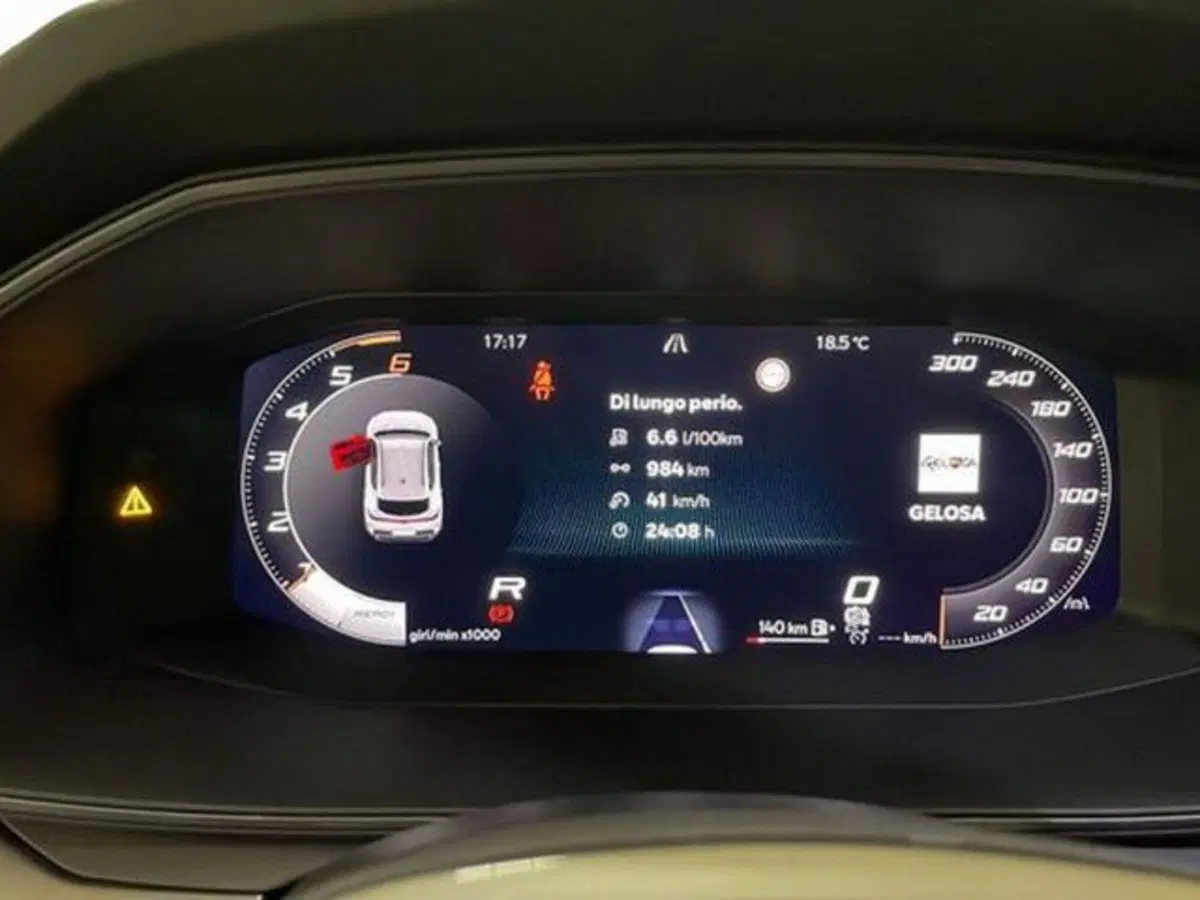 Cupra Formentor usata a Vicenza (15)