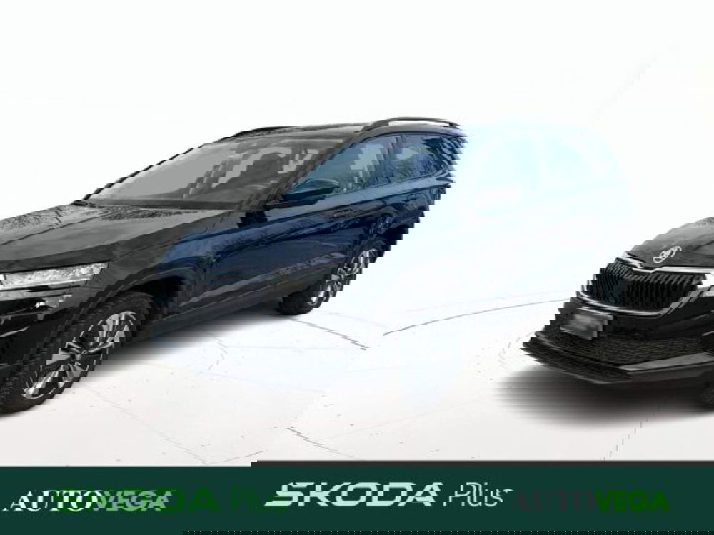 Skoda Karoq usata a Vicenza