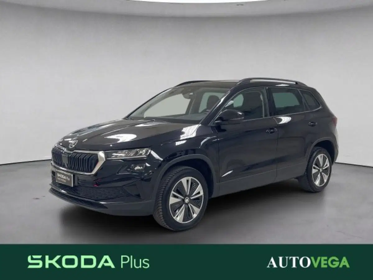 Skoda Karoq usata a Vicenza