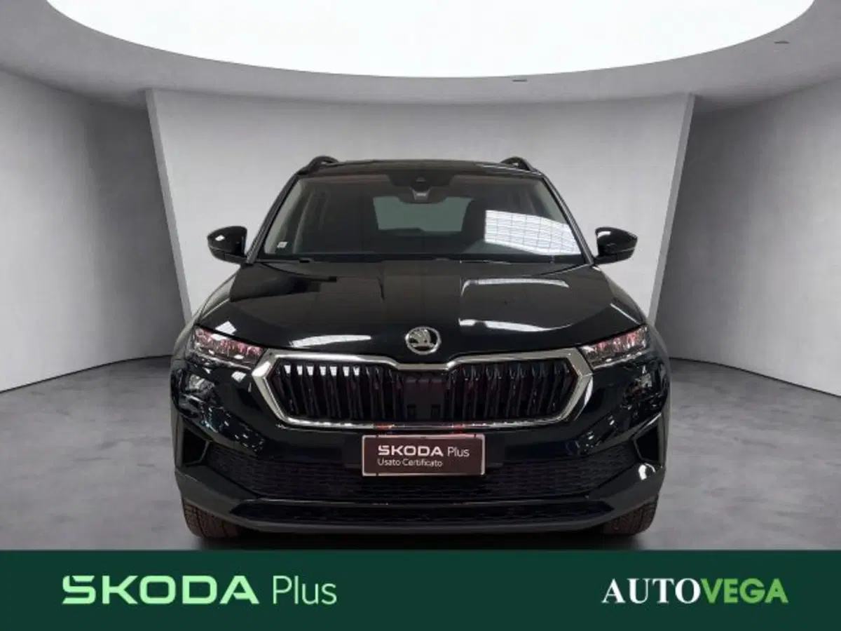 Skoda Karoq usata a Vicenza (2)