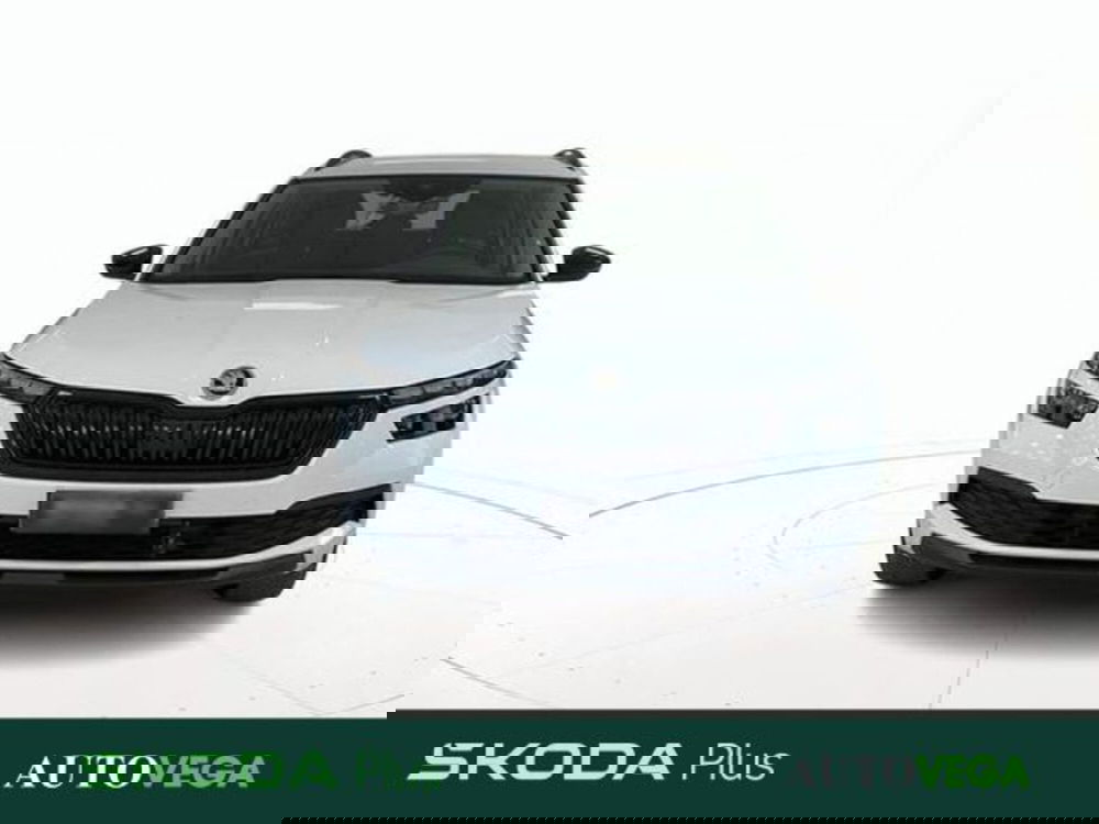 Skoda Kamiq usata a Vicenza (2)