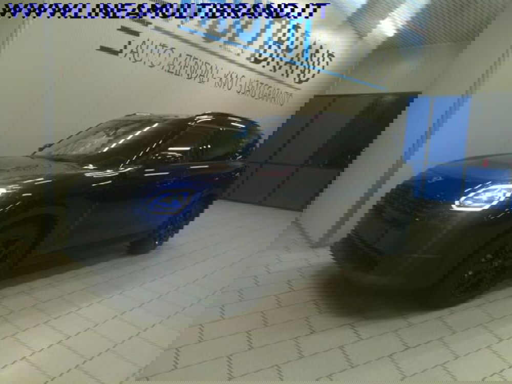 MINI Mini Countryman usata a Piacenza (10)