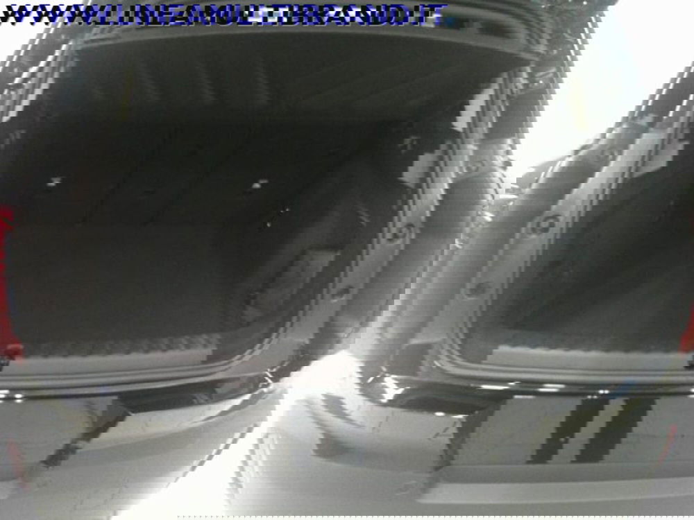 MINI Mini Countryman usata a Piacenza (7)