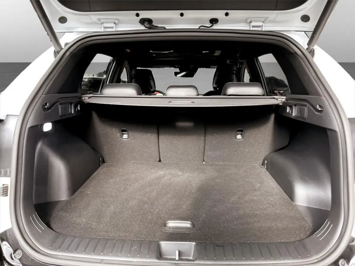 Kia Sportage usata a Piacenza (7)