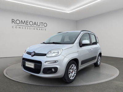 Fiat Panda 1.2 Easy del 2016 usata a Gubbio