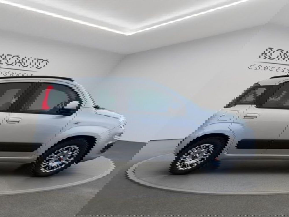 Fiat Panda usata a Perugia (7)