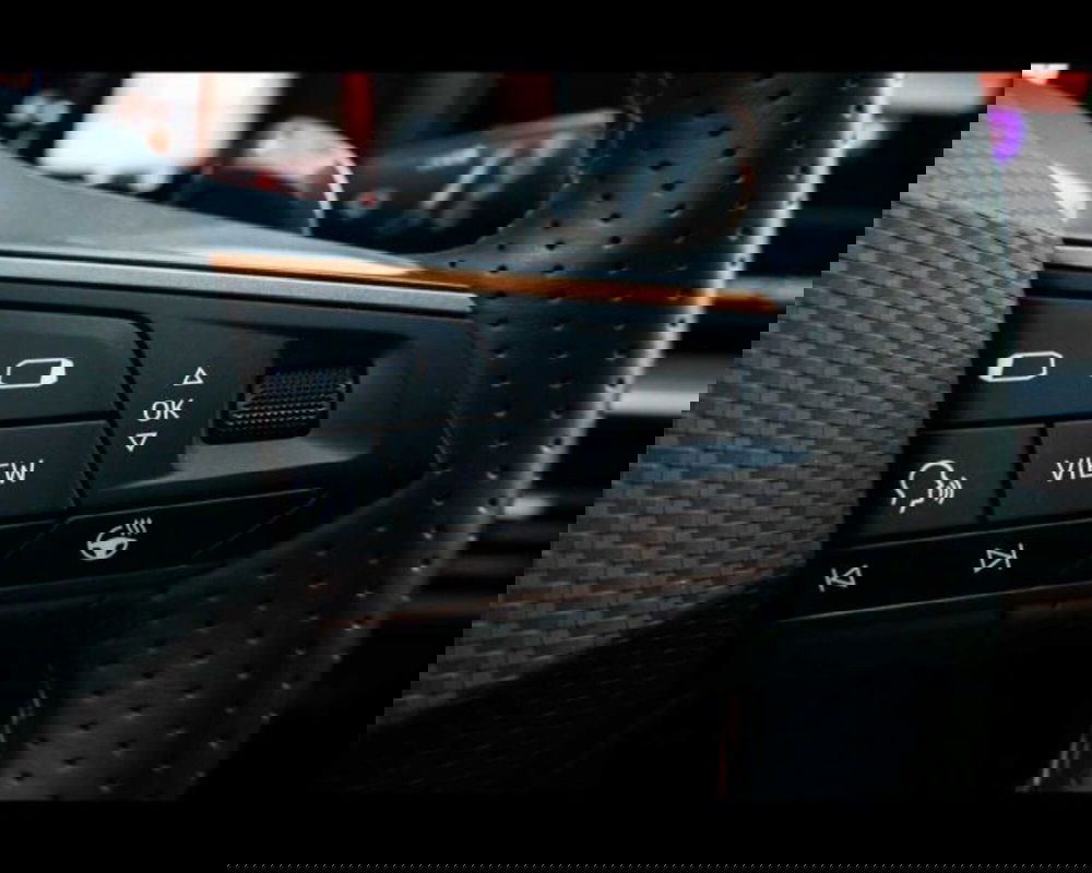 Cupra Formentor usata a Bologna (18)