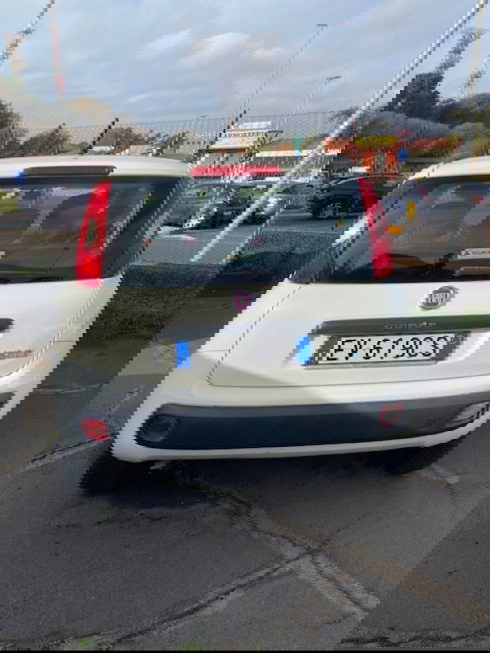 Fiat Panda usata a Catania