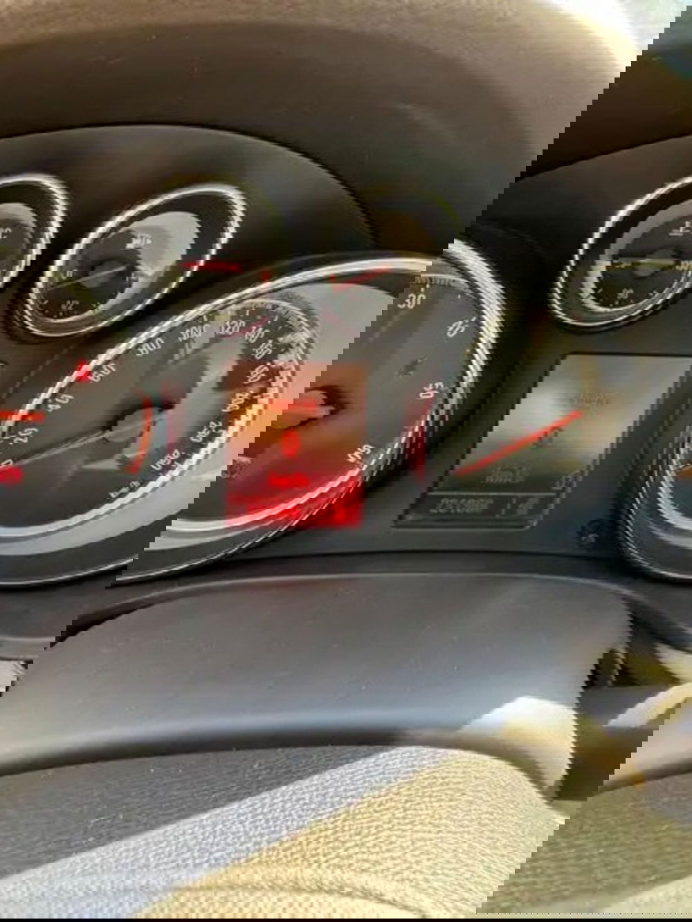 Opel Insignia Station Wagon usata a Cosenza (11)