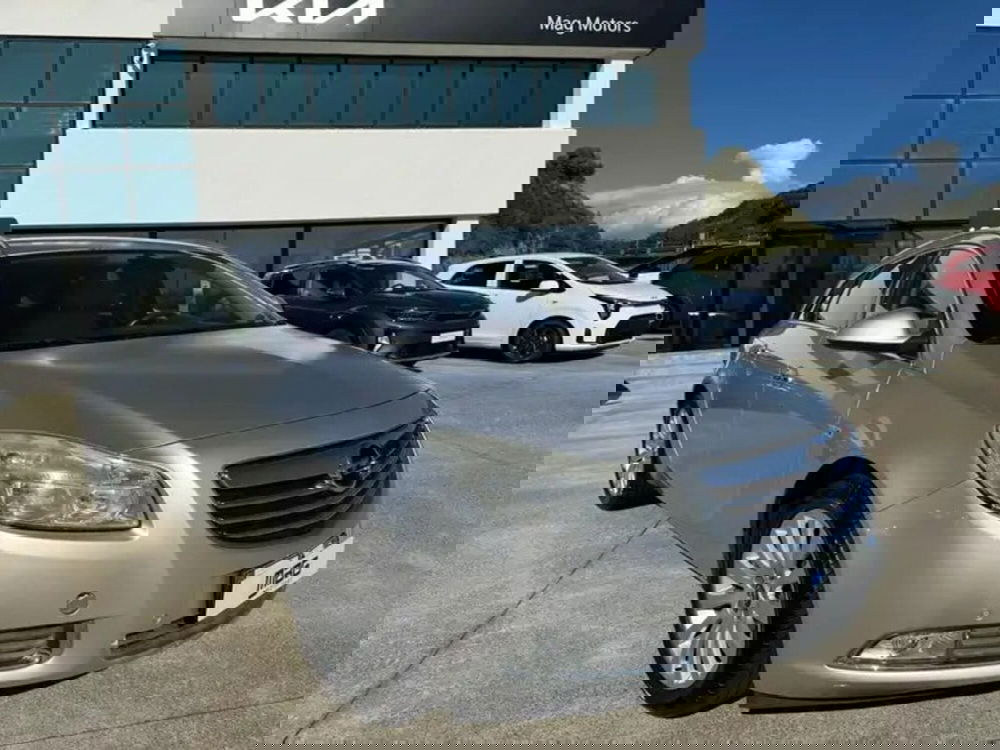 Opel Insignia Station Wagon usata a Cosenza (3)