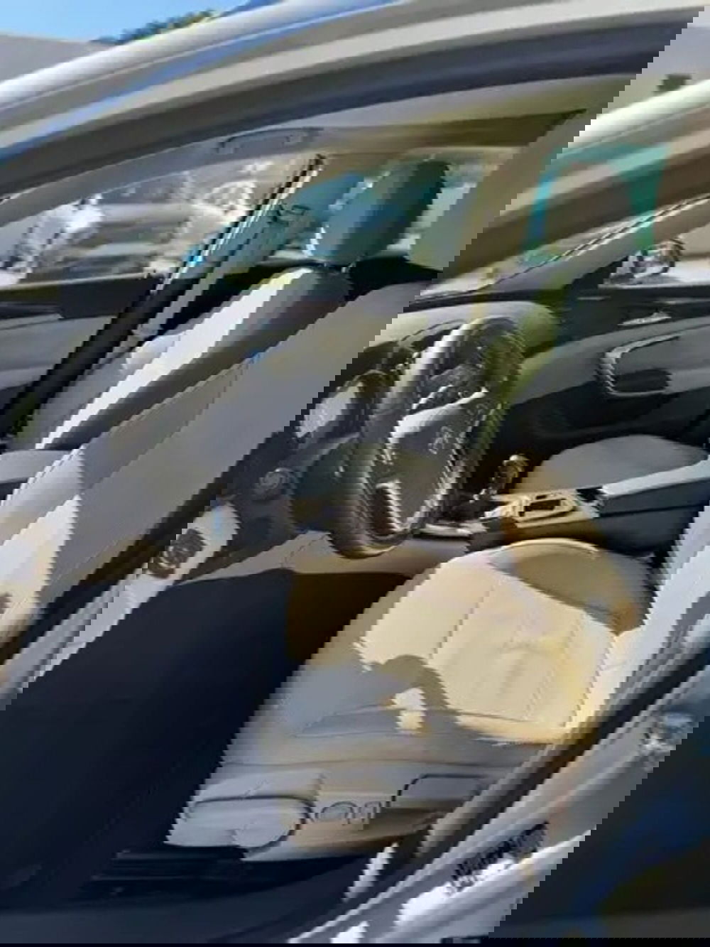 Opel Insignia Station Wagon usata a Cosenza (8)