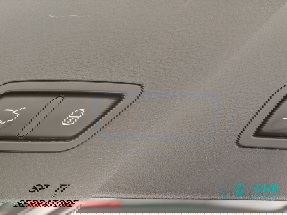 Alfa Romeo Tonale usata a Como (16)