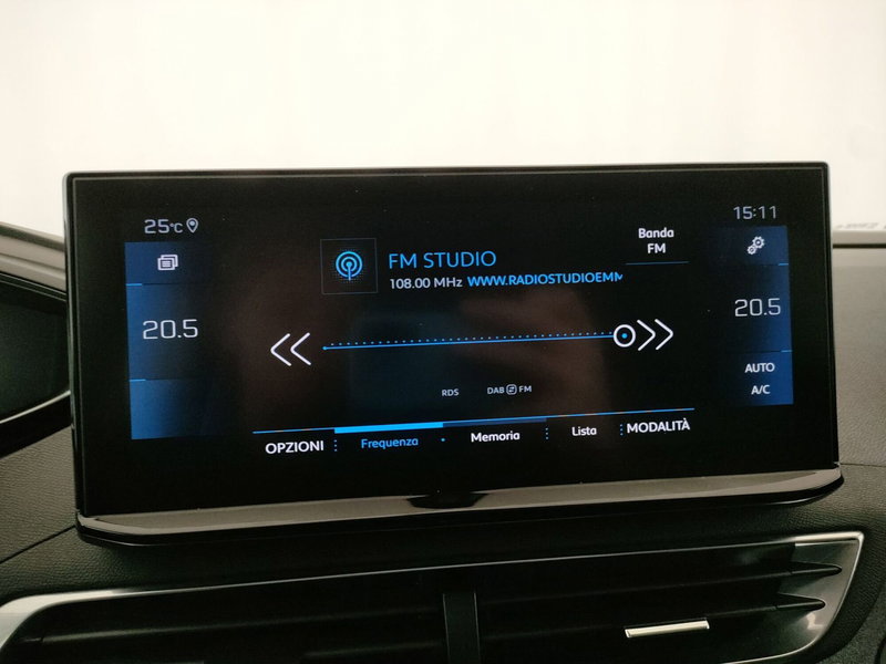 Peugeot 3008 usata a Caserta (20)