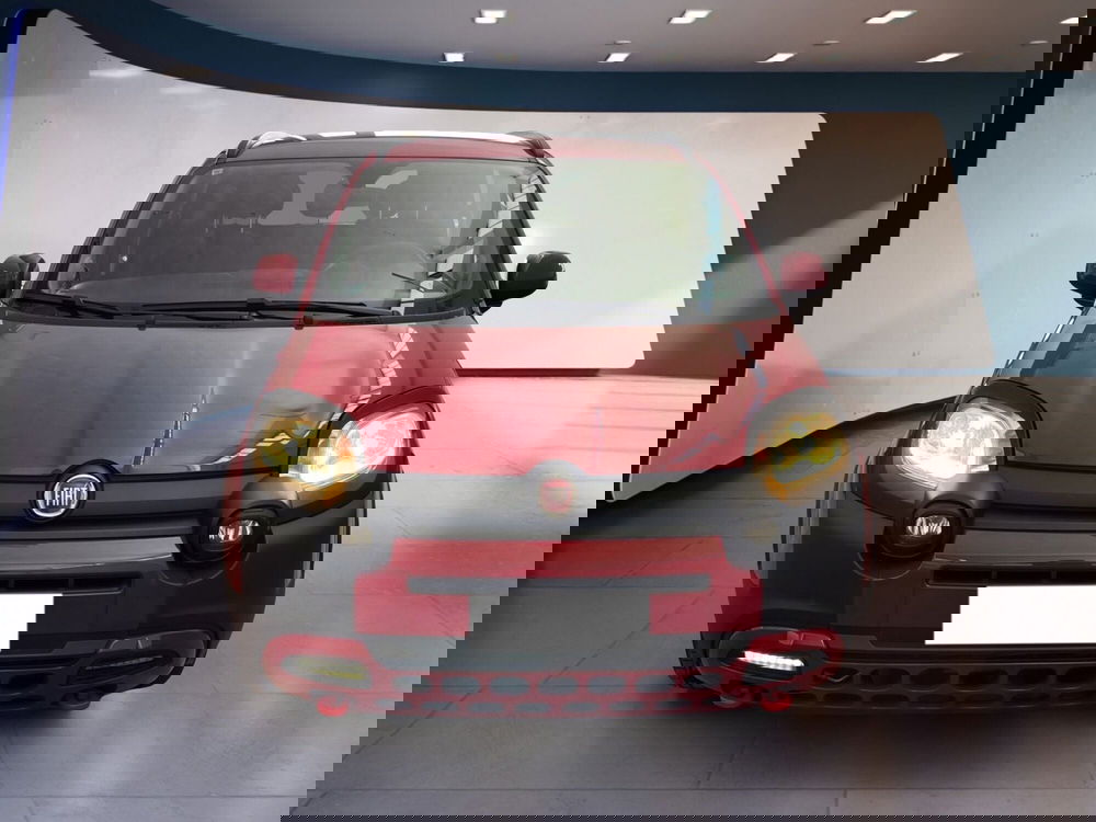 Fiat Panda usata a Torino