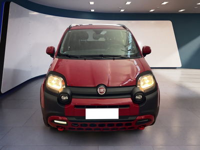 Fiat Panda 1.0 FireFly S&amp;S Hybrid City Cross del 2023 usata a Torino