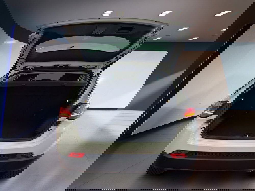 Jeep Compass usata a Torino (7)