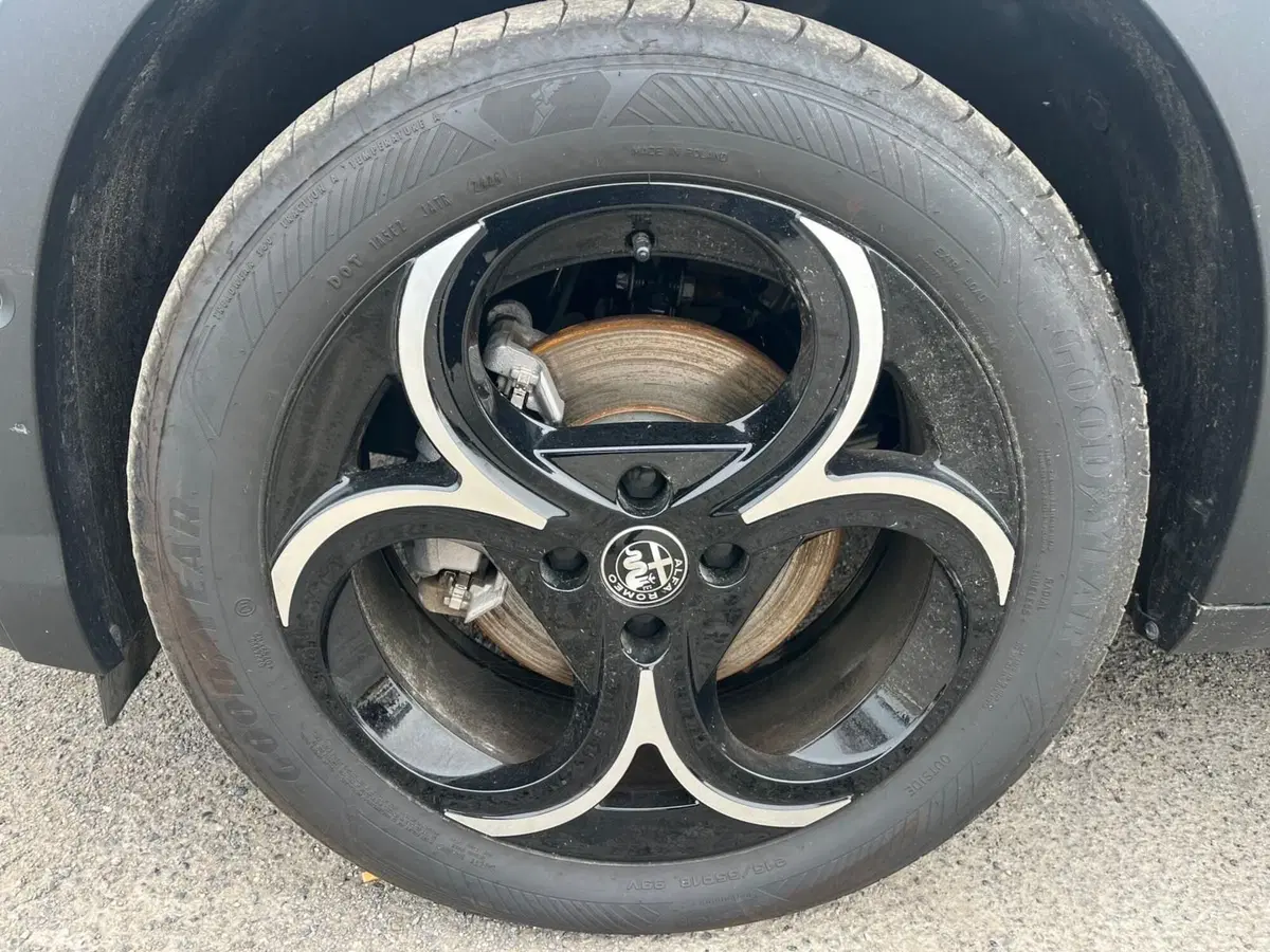 Alfa Romeo Junior usata a Milano (6)