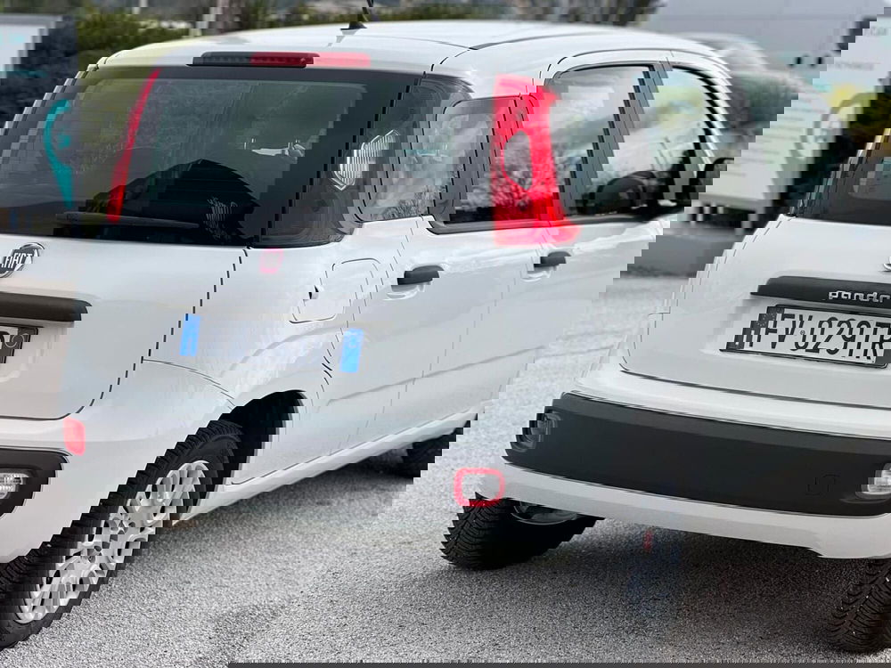 Fiat Panda usata a Matera (20)