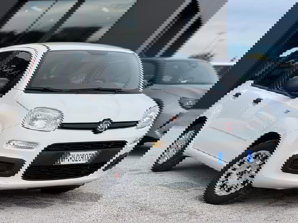 Fiat Panda usata a Matera (3)