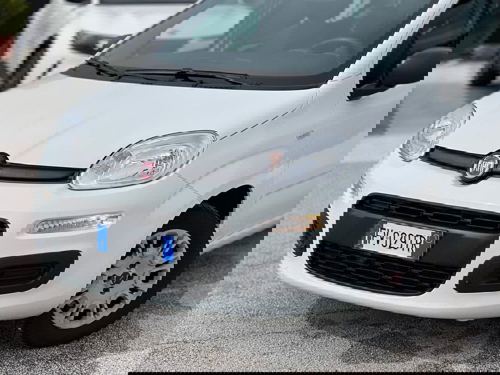 Fiat Panda usata a Matera (5)