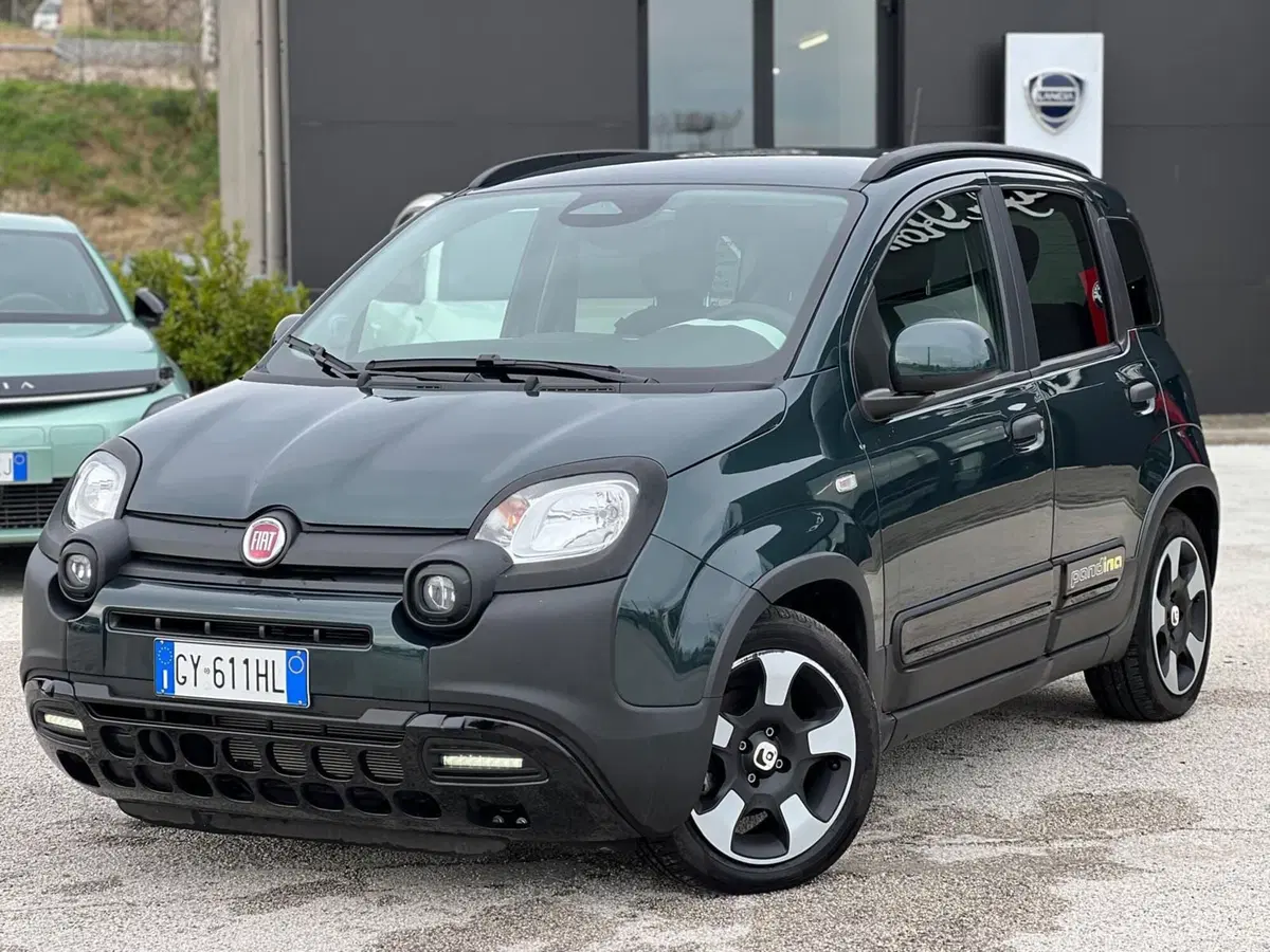 Fiat Panda Cross usata a Matera