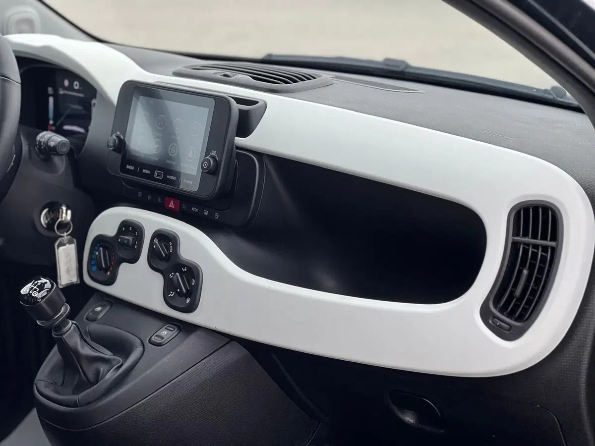 Fiat Panda Cross usata a Matera (13)