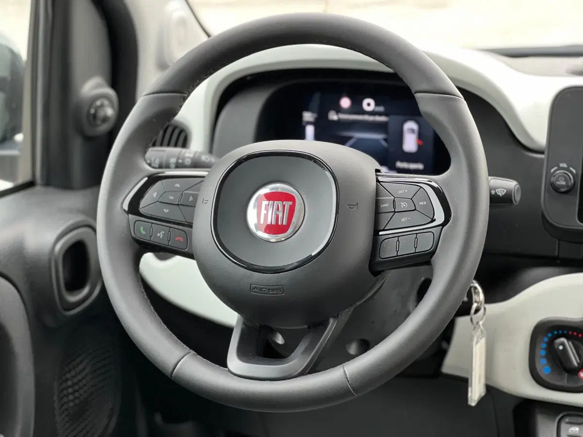 Fiat Panda Cross usata a Matera (16)