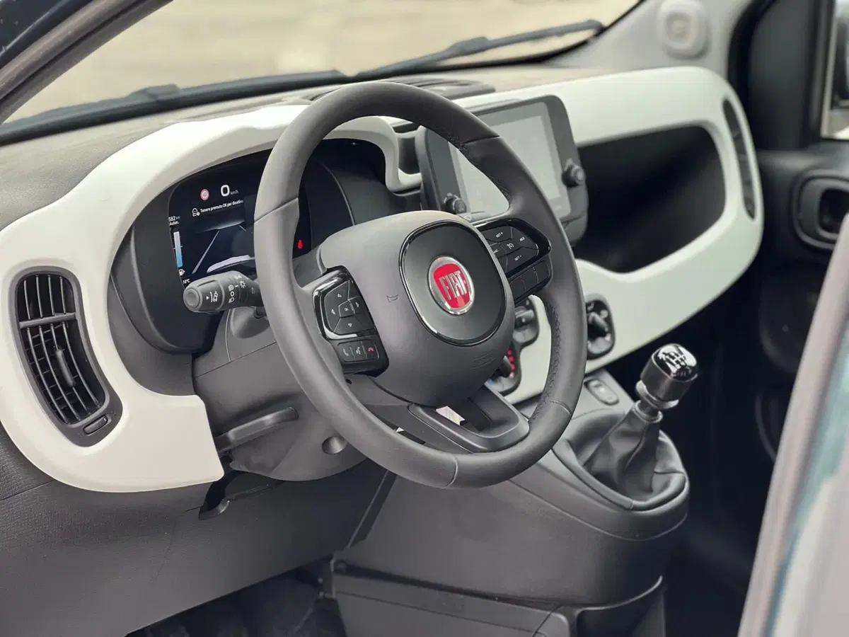 Fiat Panda Cross usata a Matera (7)