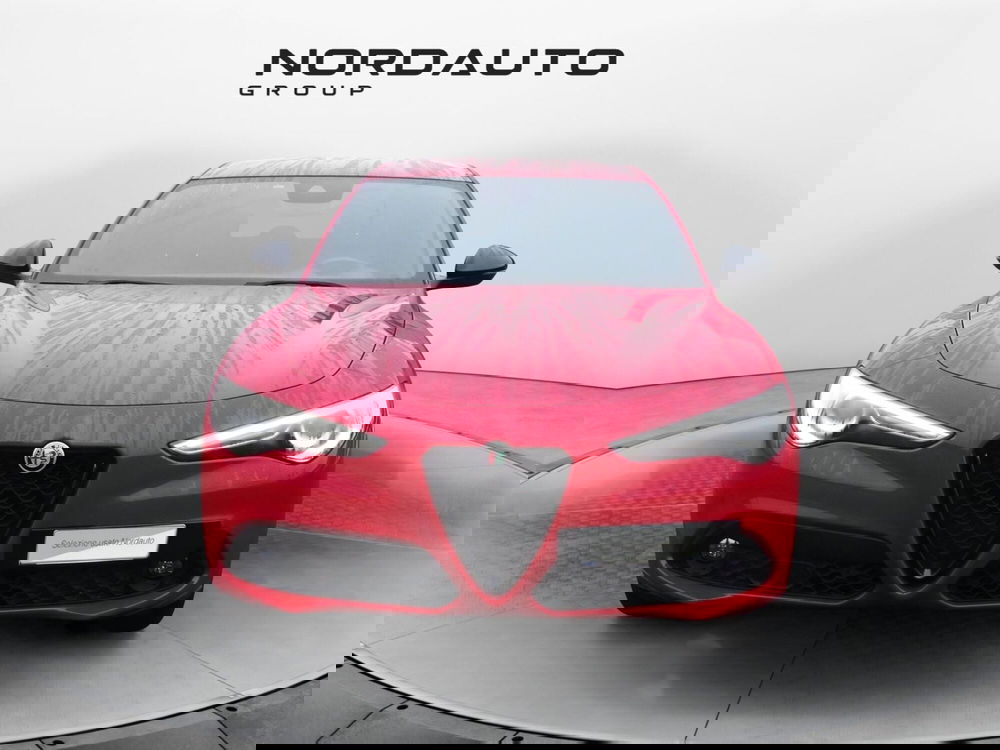 Alfa Romeo Stelvio usata a Treviso (2)