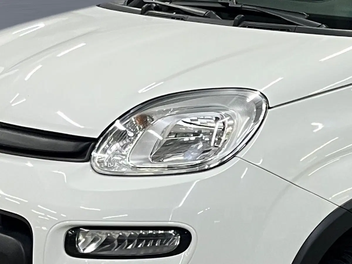 Fiat Panda usata a Bergamo (15)