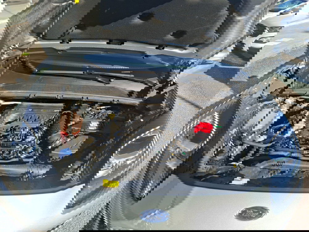 Ford Puma usata a Ancona (13)