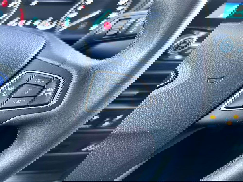 Ford EcoSport usata a Monza e Brianza (11)