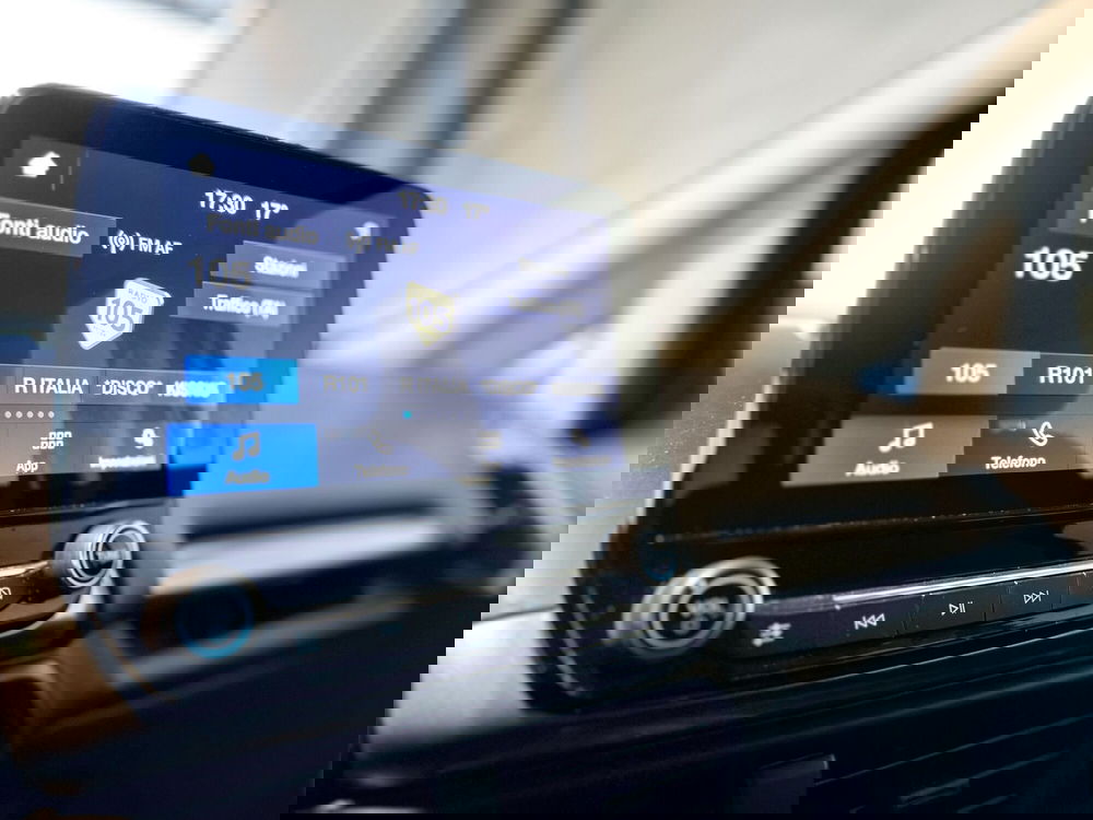 Ford EcoSport usata a Monza e Brianza (13)