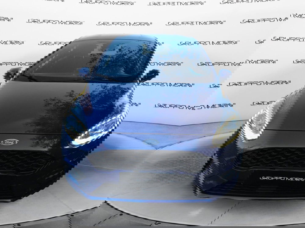 Ford Fiesta usata a Bologna