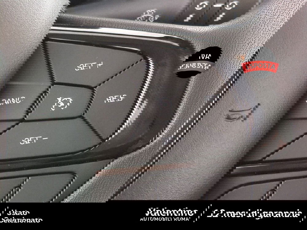 Fiat Pandina nuova a Roma (15)