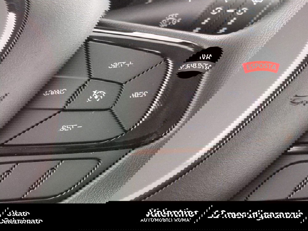 Fiat Pandina nuova a Roma (15)