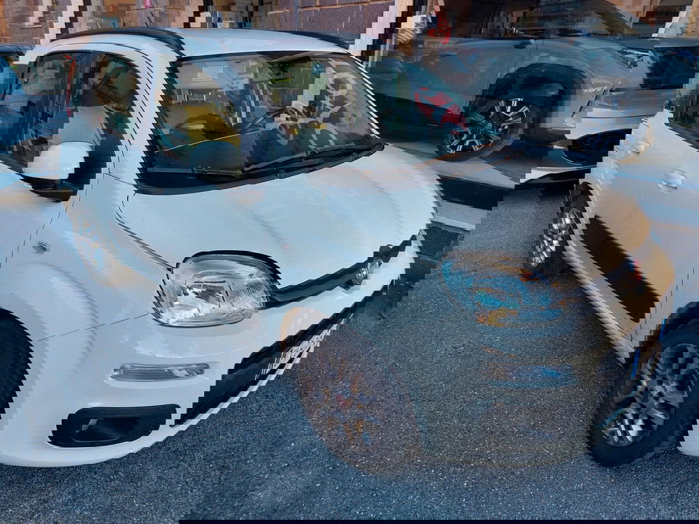 Fiat Panda usata a Imperia