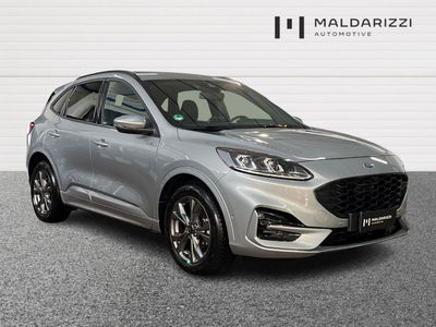 Ford Kuga 2.0 EcoBlue 120 CV aut. 2WD ST-Line X del 2023 usata a Bari