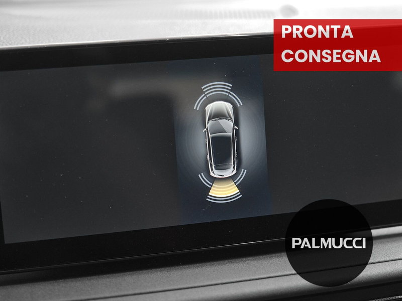 Alfa Romeo Tonale usata a Prato (11)