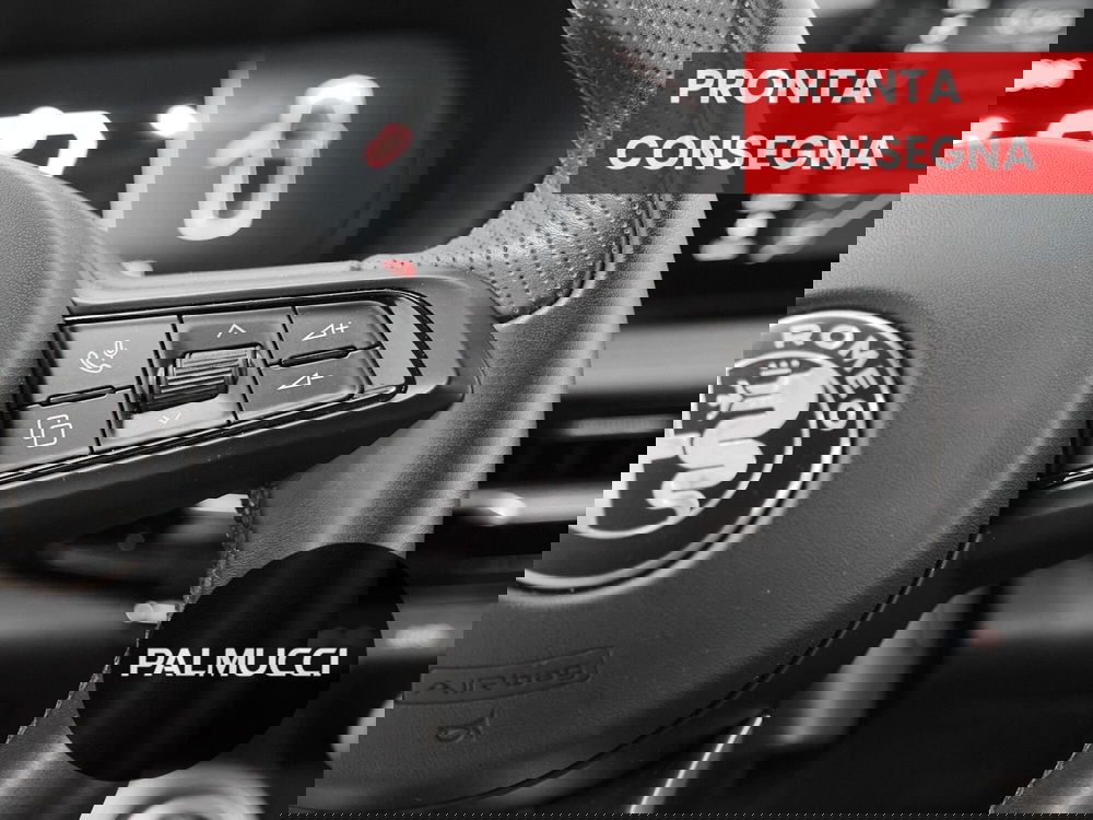 Alfa Romeo Tonale usata a Prato (18)