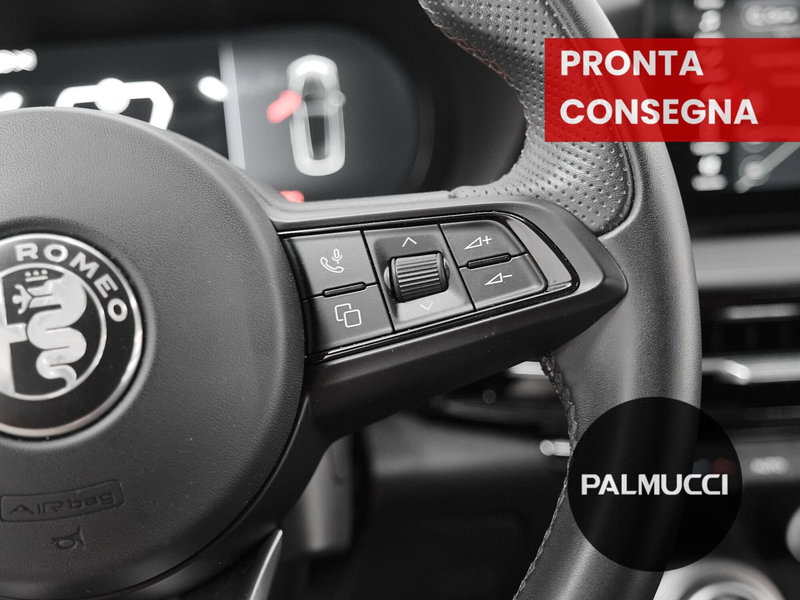 Alfa Romeo Tonale usata a Prato (18)